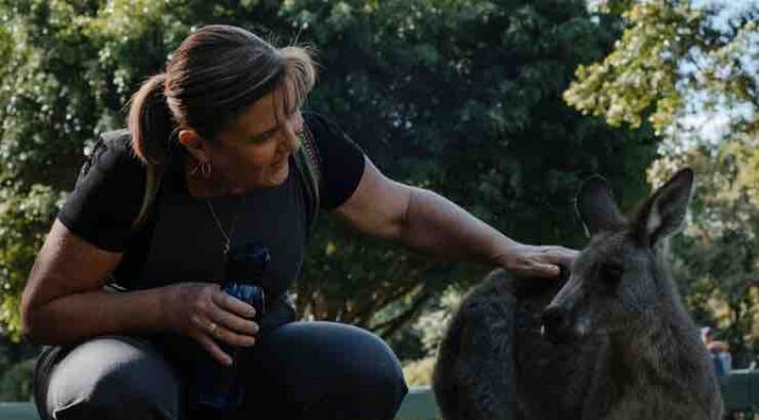 Tips For Finding a Dream Job as a Zookeeper in Queensland, Australia Zookeeper in Queensland