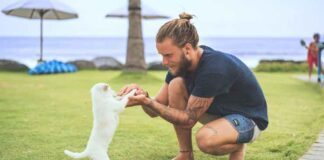 Guide To Choosing a Dog Based on Your Personality Type