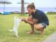 A Short Guide To Choosing a Dog Based on Your Personality Type Guide To Choosing a Dog Based on Your Personality Type