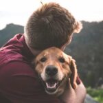 Best Dogs For Anxiety