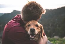 Best Dogs For Anxiety