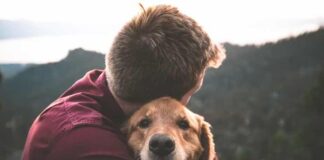Best Dogs For Anxiety