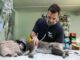 Your Pet Needs Emergency Vet Care If You See These Signs Emergency Vet Care