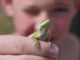 How Reptiles and Snakes Make Childhood Memorable How Reptiles and Snakes Make Childhood Memorable