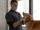 Providing Professional Medical Help to Your Pets: A Short Guide Medical Help to Your Pets