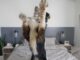 Dog Home Safety Tips You Should Be Aware Dog Home Safety Tips