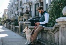 Understanding Pet Ownership Laws: A Comprehensive Guide Pet Insurance Plan