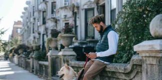 Understanding Pet Ownership Laws: A Comprehensive Guide Pet Insurance Plan