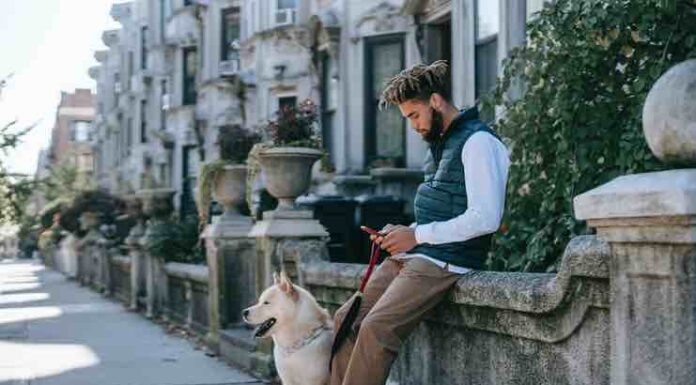 Understanding Pet Ownership Laws: A Comprehensive Guide Pet Insurance Plan