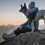 12 Questions to Ask Before Signing Up for a Pet Insurance Plan Signing Up for a Pet Insurance Plan