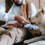 The Amazing Taste Buds of Dogs: How Dogs Perceive the World Through Taste (with Videos) Taste Buds of Dogs