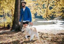 Holistic Pet Care: Keep Your Pet Healthy and Happy The Natural Way Holistic Pet Care