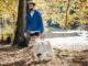 Holistic Pet Care: Keep Your Pet Healthy and Happy The Natural Way Holistic Pet Care
