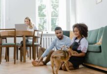 Introducing a New Pet into Your Home Introducing a New Pet into Your Home