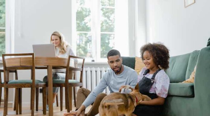 Introducing a New Pet into Your Home Introducing a New Pet into Your Home