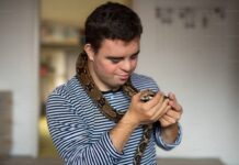 Can A Snake Be An Emotional Support Animal? Can A Snake Be An Emotional Support Animal