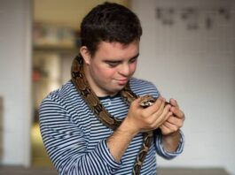 Can A Snake Be An Emotional Support Animal? Can A Snake Be An Emotional Support Animal