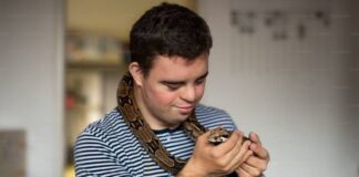 Can A Snake Be An Emotional Support Animal? Can A Snake Be An Emotional Support Animal