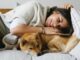 Glucosamine to the Rescue: Helping Your Dog Feel Their Best dog Glucosamine