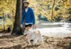 A Guide for Animal Lovers on How to Prove Future Expenses in a Personal Injury Claim Guide for Animal Lovers