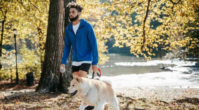 A Guide for Animal Lovers on How to Prove Future Expenses in a Personal Injury Claim Guide for Animal Lovers