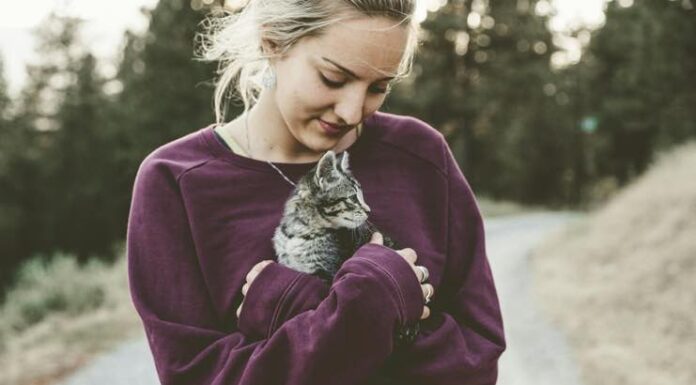 Protecting Your Pet Through Life’s Ups And Downs Protecting Your Pet